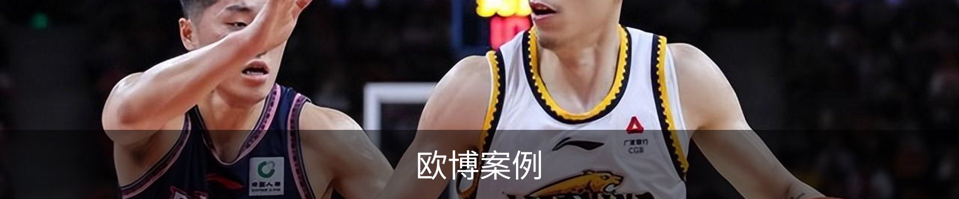 欧博案例
